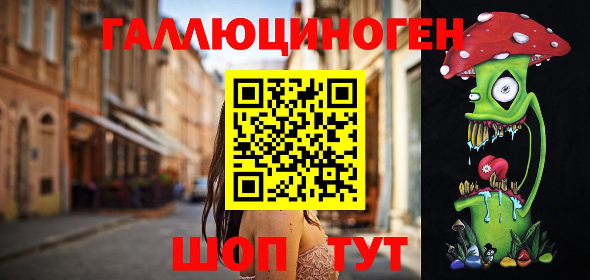 Псилоцибиновые грибы Psilocybine cubensis Ставрополь