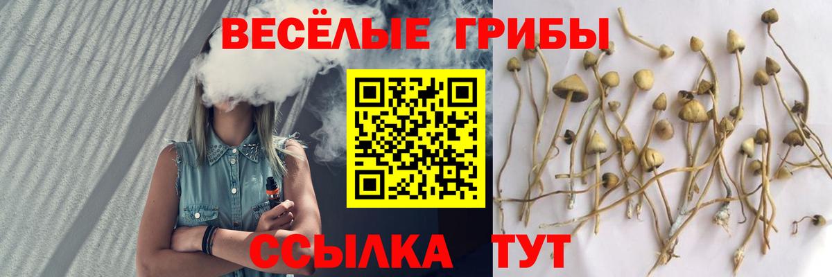 Ставрополь  Псилоцибиновые грибы Magic Shrooms  Вход с VPN  Псилоцибиновые грибы MAGIC MUSHROOMS 
